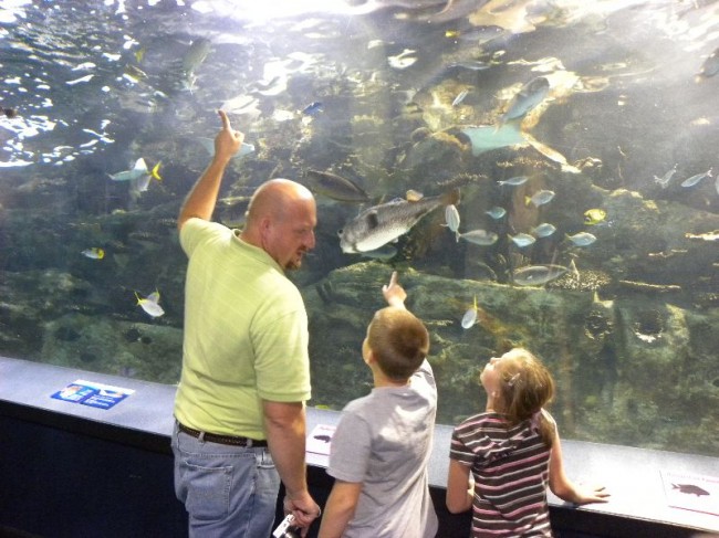 Newport Aquarium