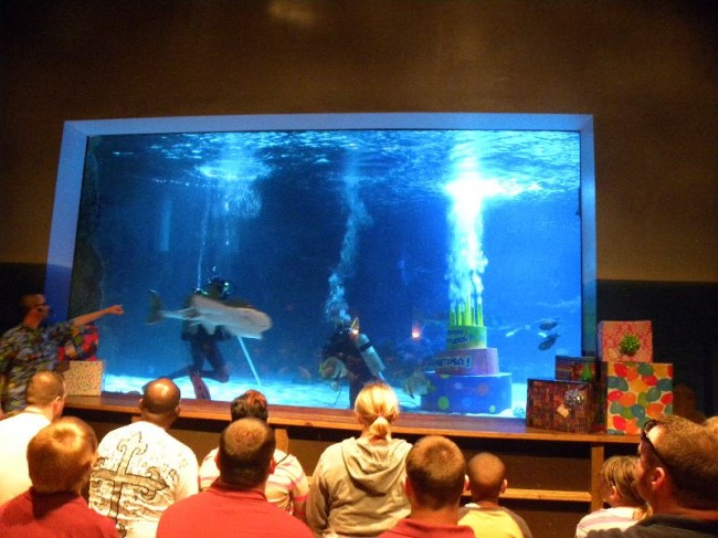 Newport Aquarium