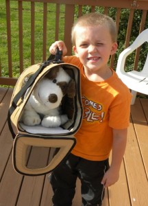 designer carrier