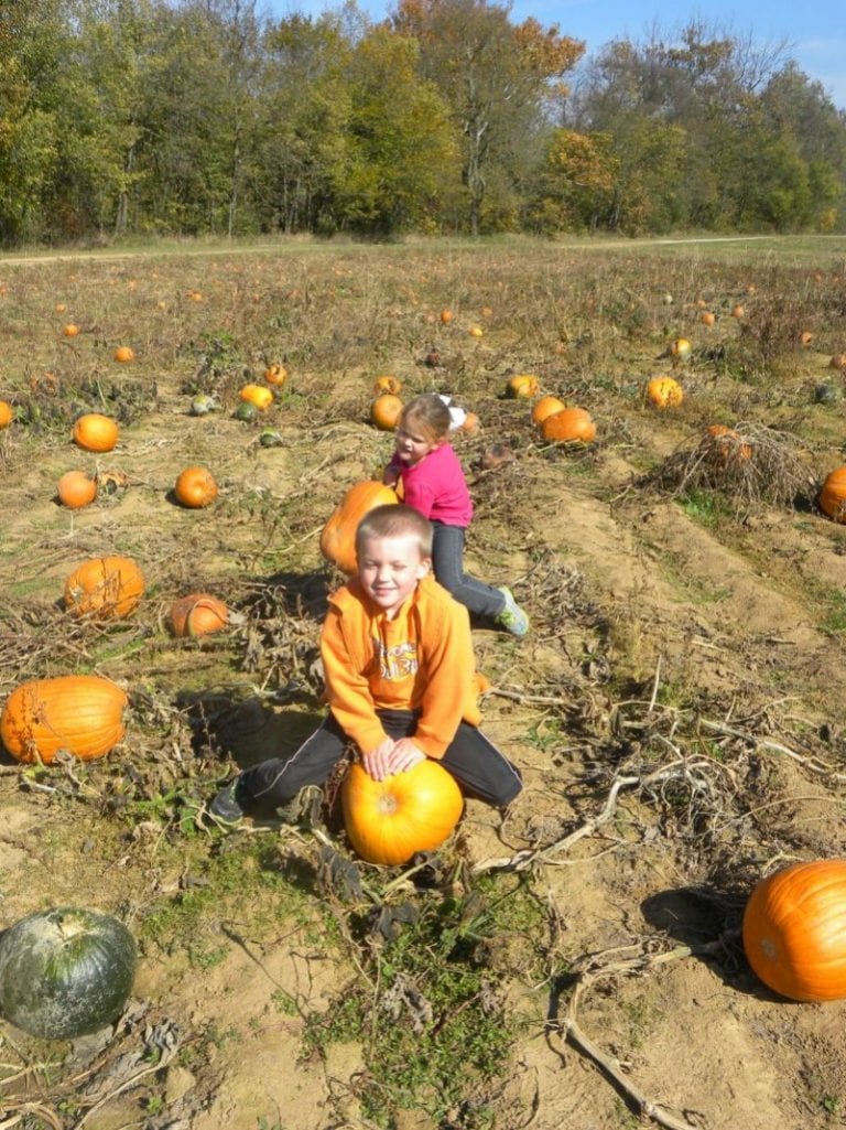 Corn Mazes and Pumpkin Patches