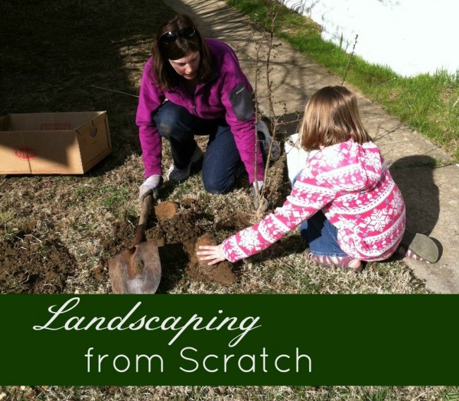 landscaping-from-scratch
