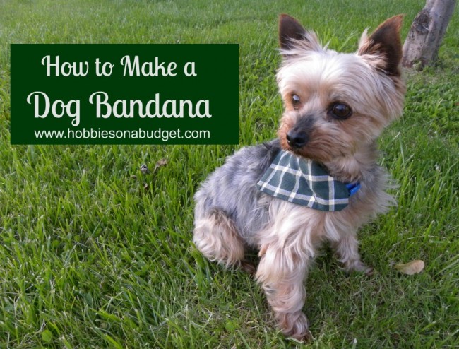 how to make a dog bandana