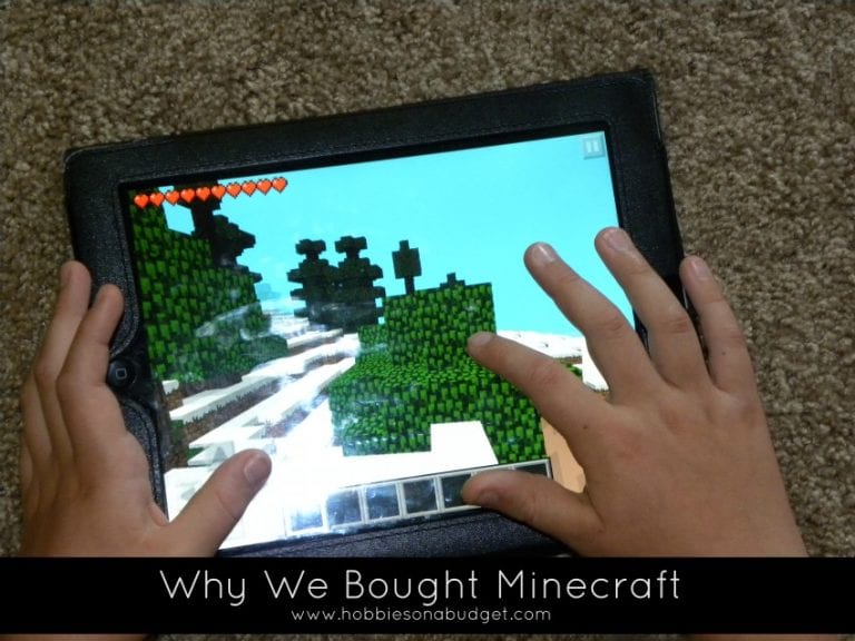 Why We Bought Minecraft