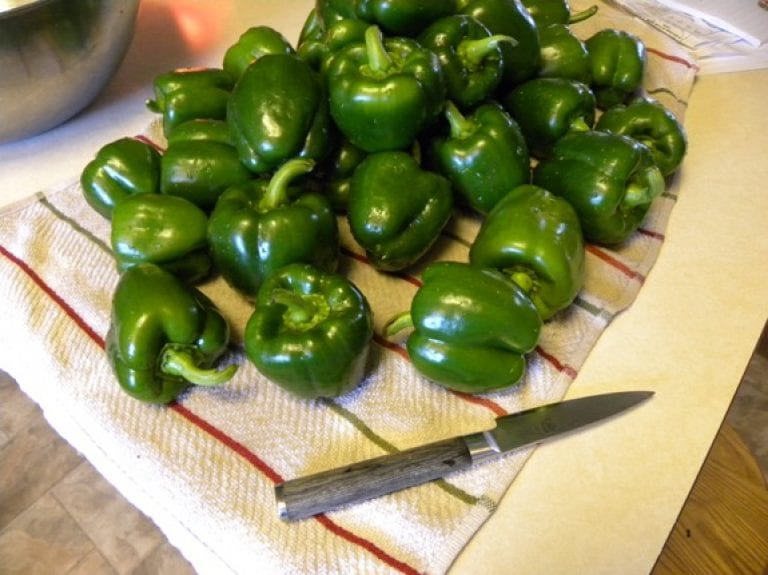 Green Peppers All Year Long