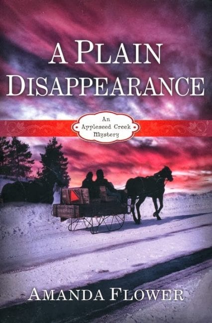 A_Plain_Disappearance