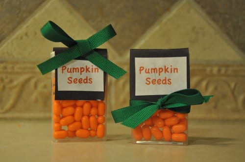 Pumpkin-Seeds