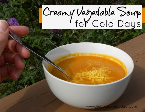 creamy vegetable soup for cold days
