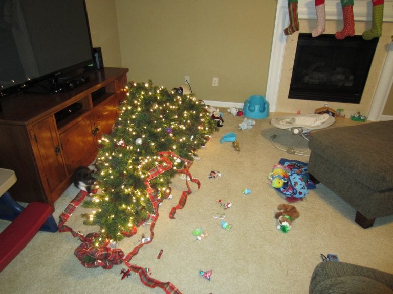 Christmas Tree Spills & Falls