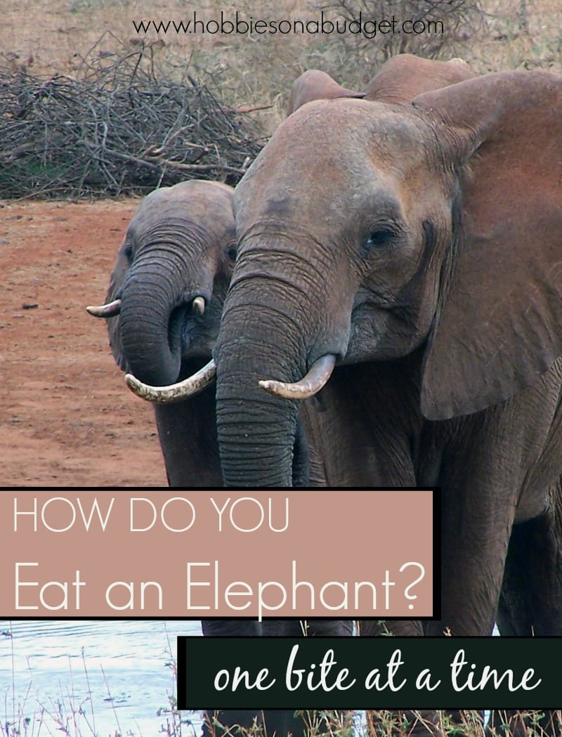 SHARON - eat an elephant