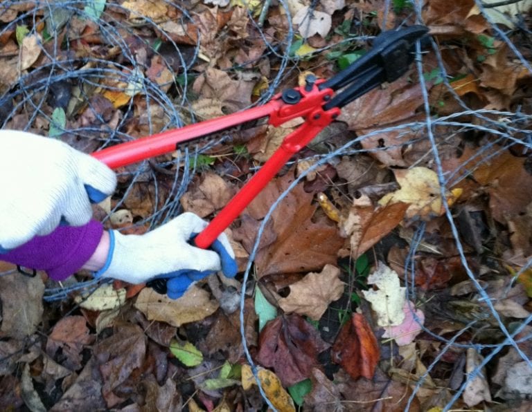 How to Cut Barbed Wire Hobbies on a Budget