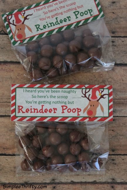 reindeer-poop
