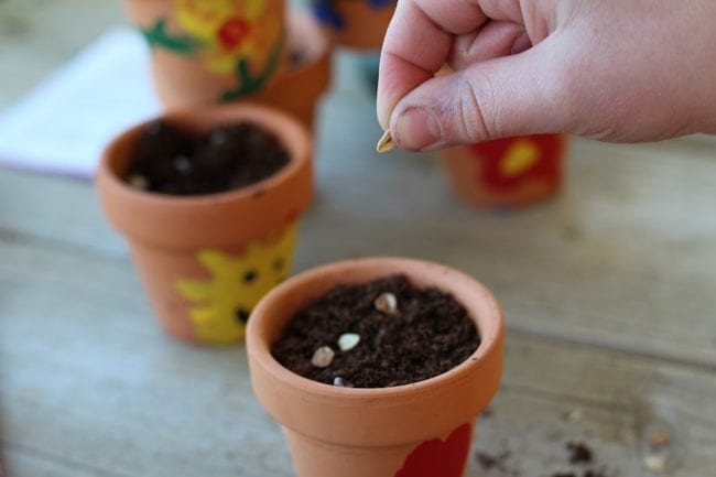 Thumbprint Flower Pot Gift Ideas