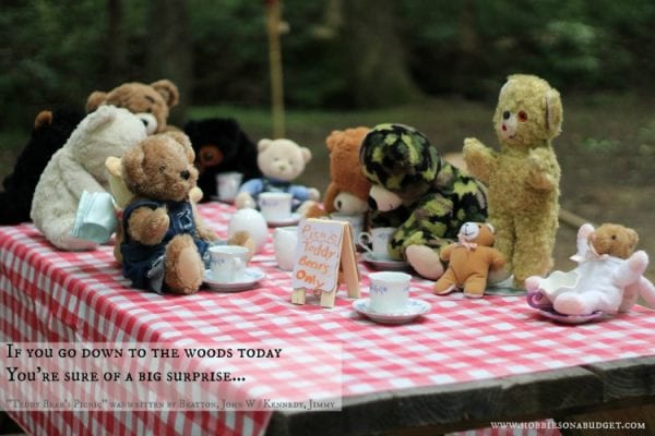 How to Host a Teddy Bear Picnic - Hobbies on a Budget