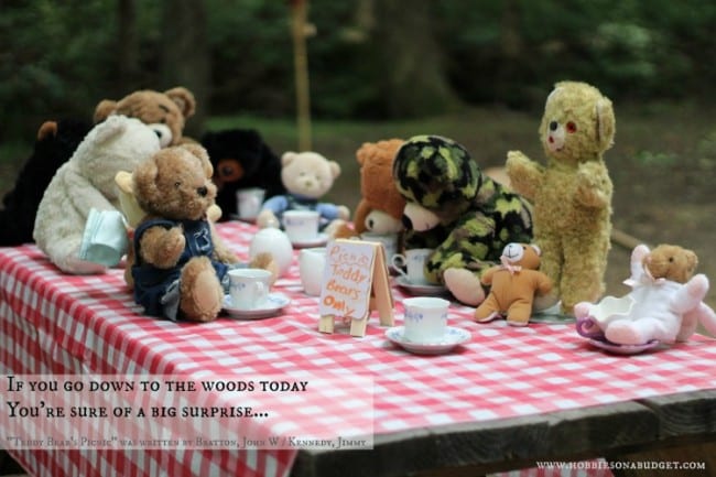How to Host a Teddy Bear Picnic - Hobbies on a Budget