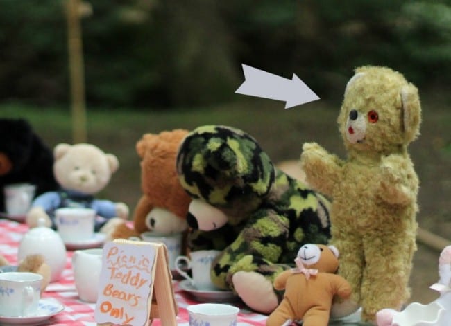 How to Host a Teddy Bear Picnic - Hobbies on a Budget