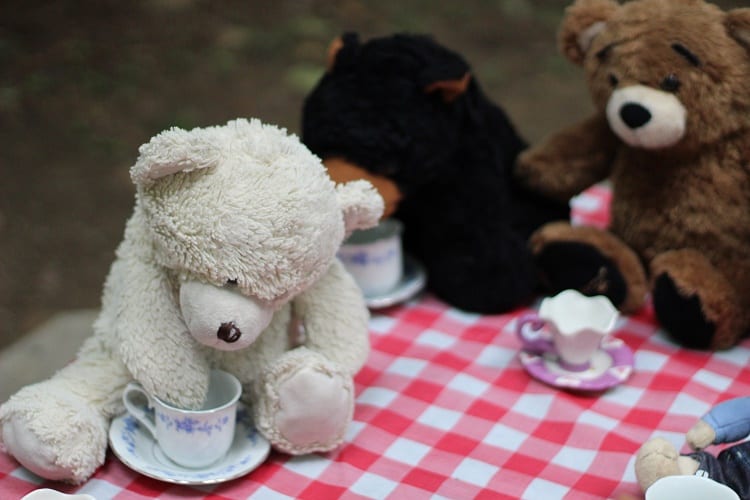 Celebrate Teddy Bear Picnic with Us