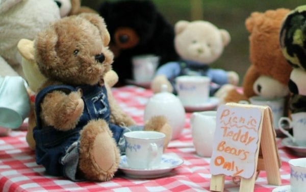 How to Host a Teddy Bear Picnic - Hobbies on a Budget