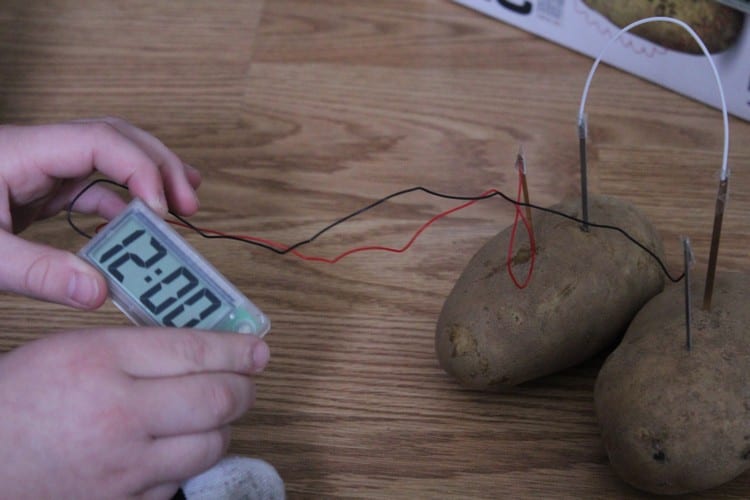potato clock 3_tn