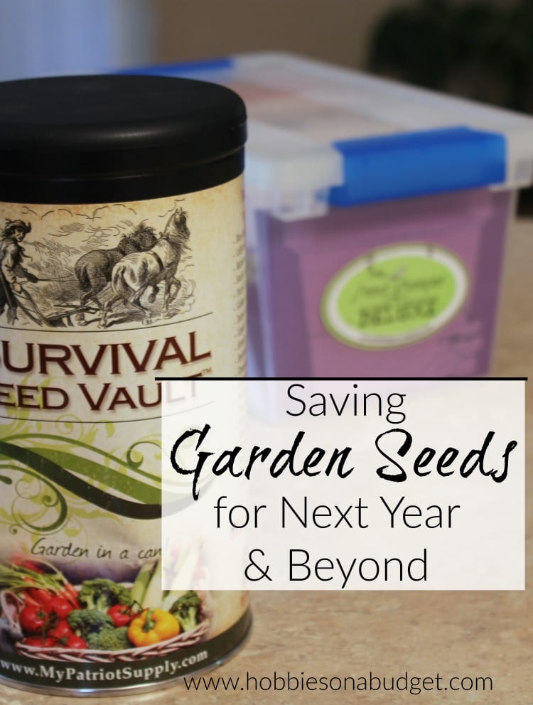 saving garden seeds