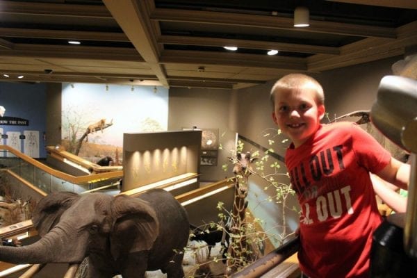 Visiting the Springfield Museums - Hobbies on a Budget