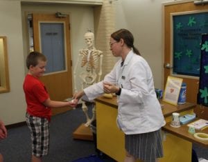Visiting the Springfield Museums - Hobbies on a Budget