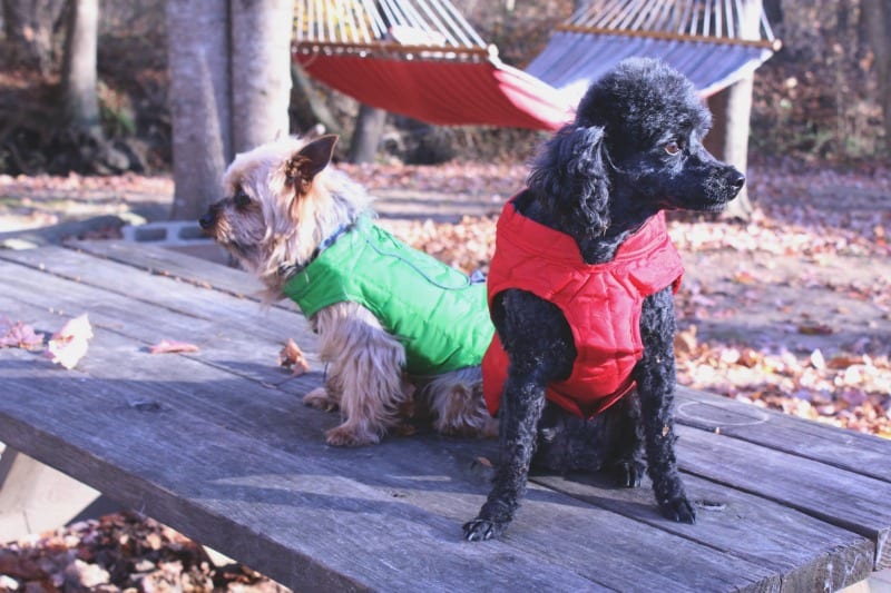 henry-and-sadie-winter-coats