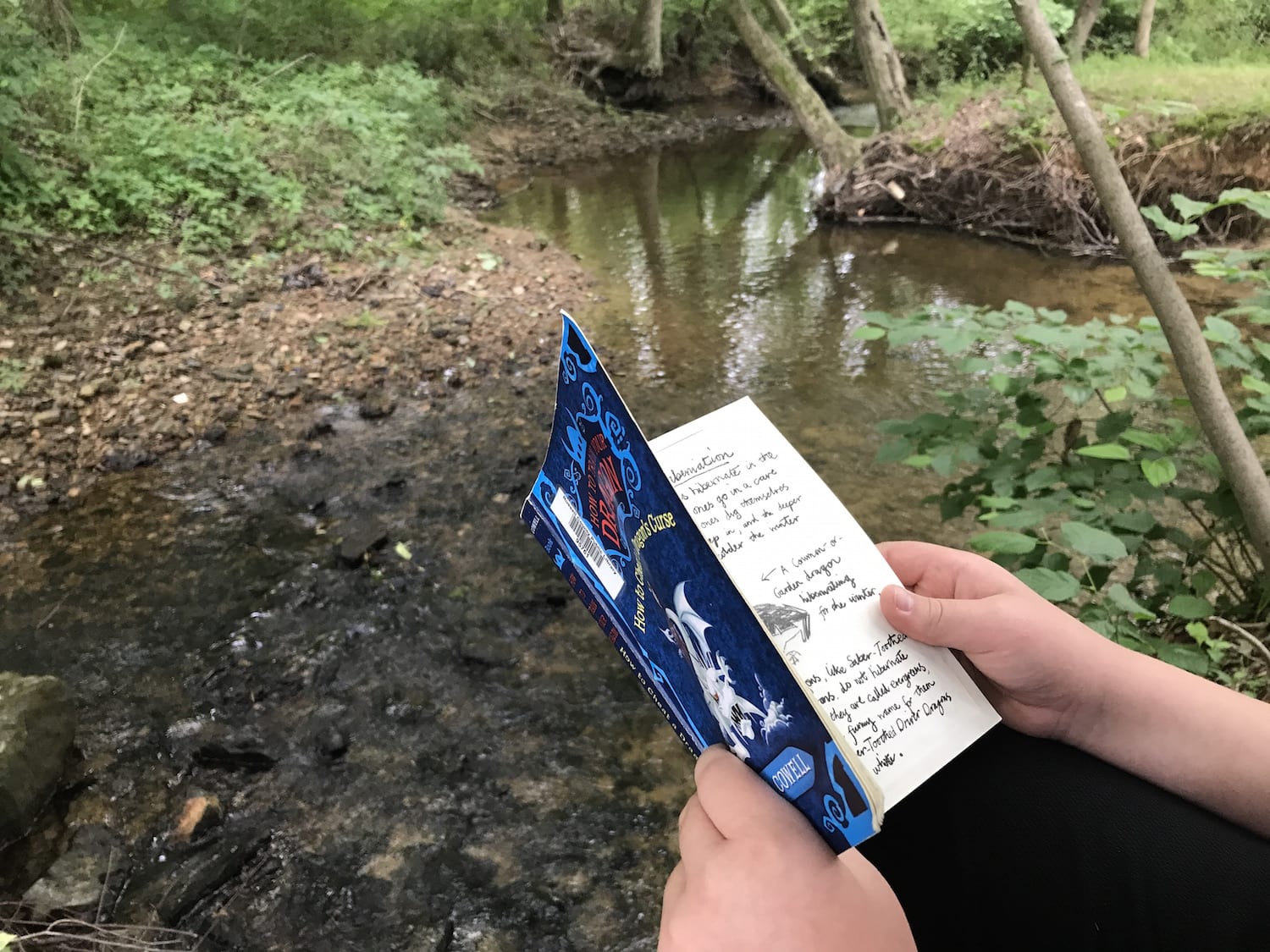How To Keep Kids Reading This Summer How To Keep Kids Reading This Summer