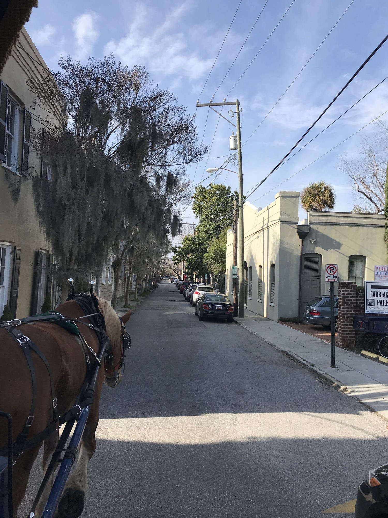 Carriage Ride through Charleston South Carolina