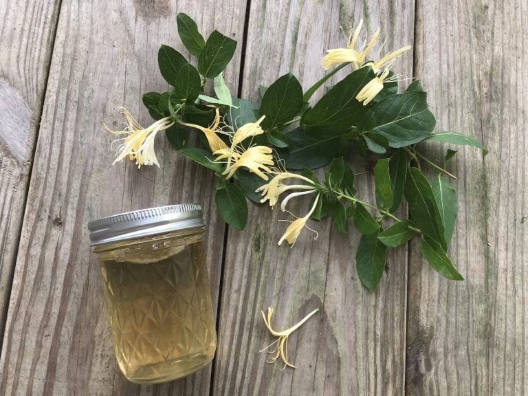 How to Make Honeysuckle Jelly