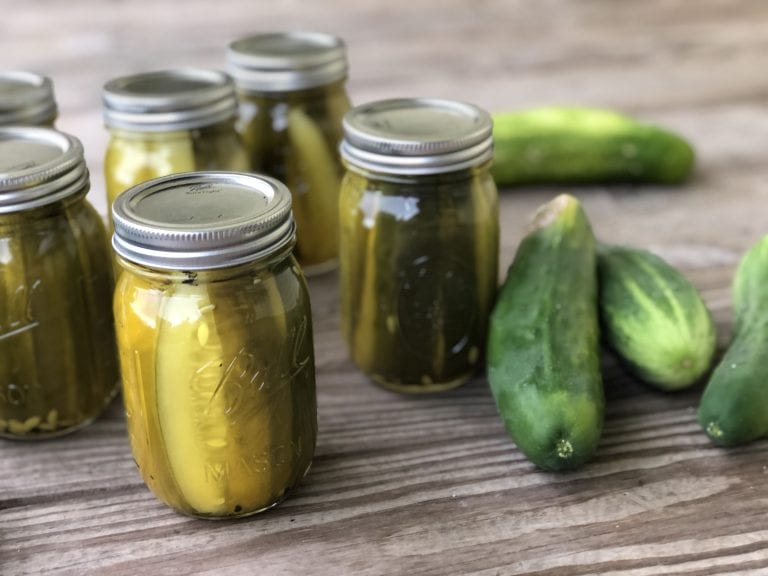 30+ Pickle Recipes for Summer Harvest