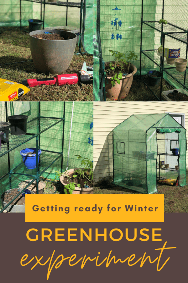 The Greenhouse Experiment Begins Hobbies on a Budget