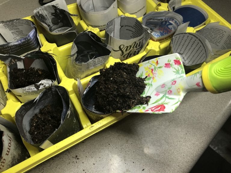 Planting Seeds with Newspaper Pots