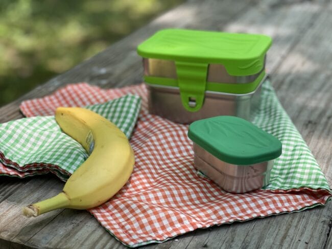 How to Host a Teddy Bear Picnic - Hobbies on a Budget