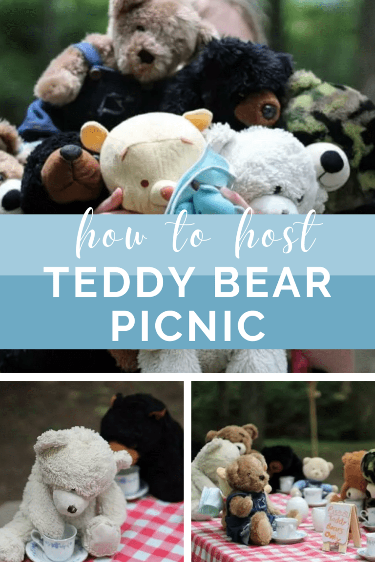 How to Host a Teddy Bear Picnic - Hobbies on a Budget