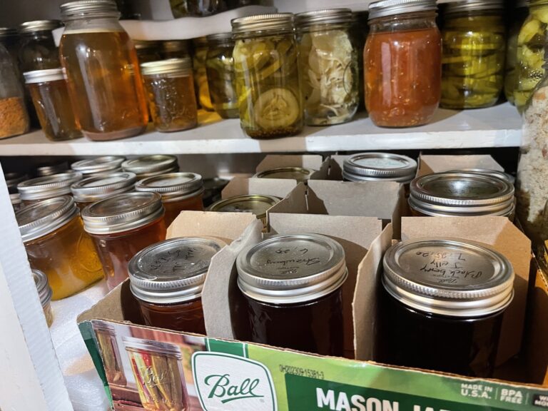Canning Tasks to do in March