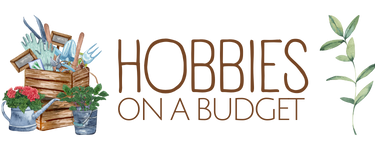 Hobbies on a Budget