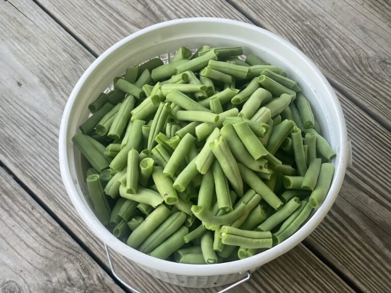 How to Can Green Beans