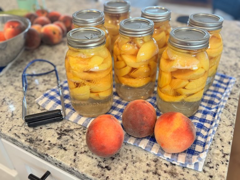 Canning Peaches from the Orchard
