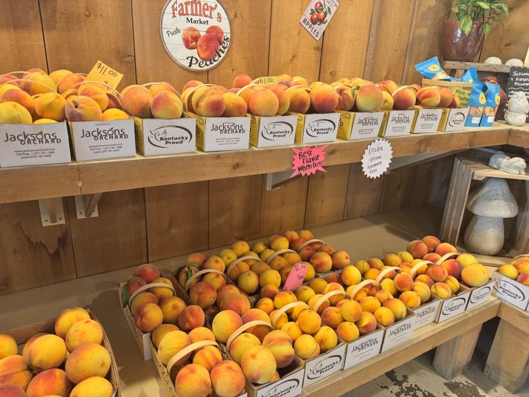 Where to Find the Best Local Fruits and Vegetables