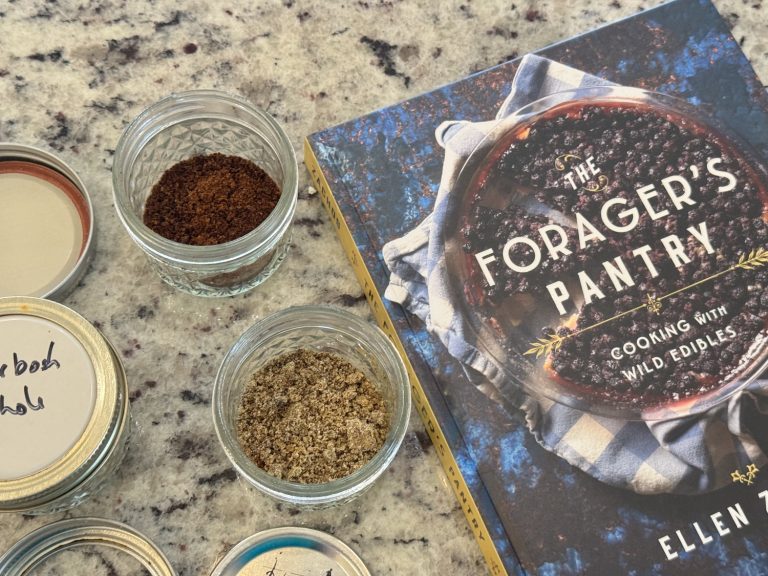 Foraging & Cooking with Wild Food