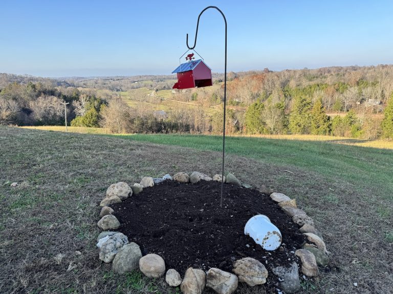 Building a New flower garden for Free