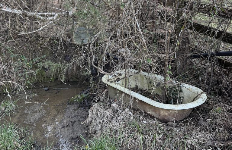 The Day We Rescued a Bathtub From the Marsh