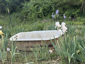 My Bathtub Garden Accent (part 2)
