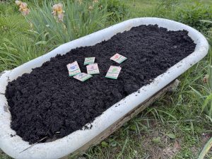 Bathtub Herb Garden (part 3)