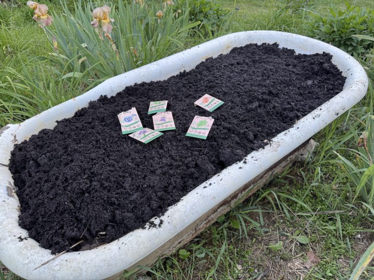 Bathtub Herb Garden (part 3)