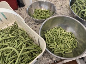 Green Bean Moments